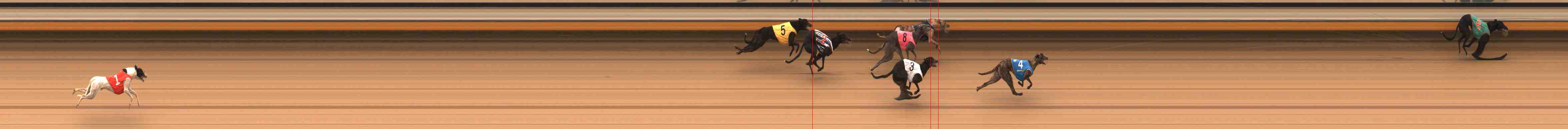 Photo finish for Warrnambool Race 6