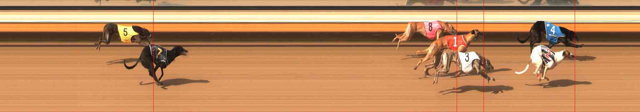 Photo finish for Warrnambool Race 8