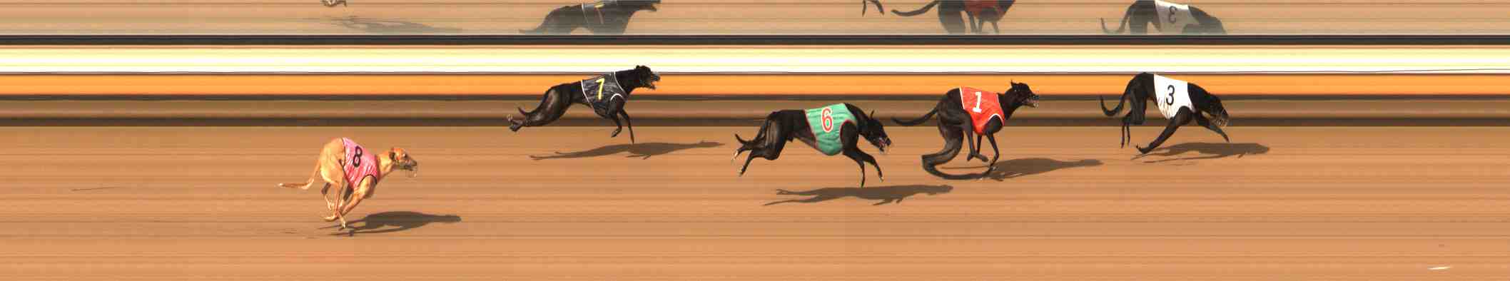 Photo finish for Warrnambool Race 9