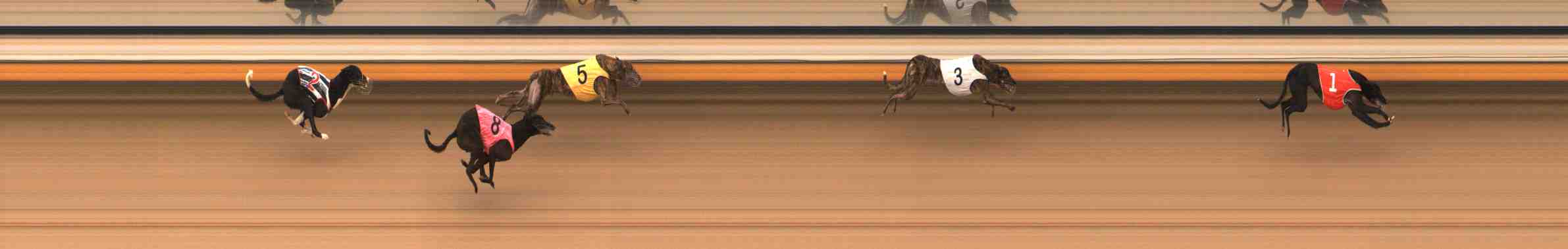 Photo finish for Warrnambool Race 10