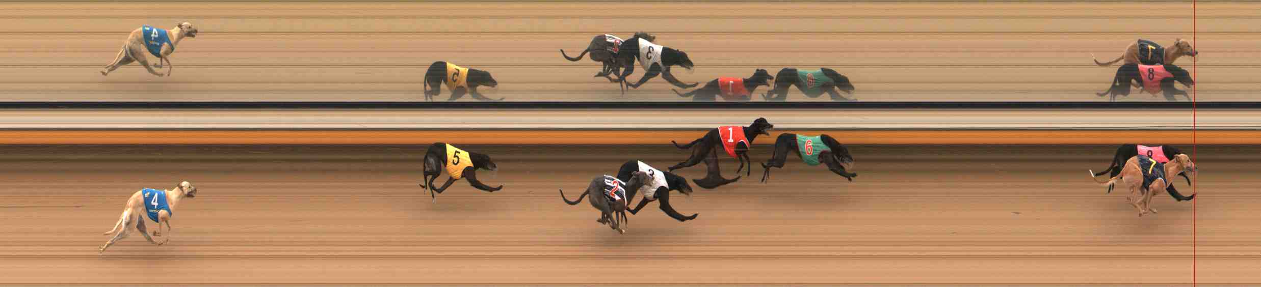 Photo finish for Warrnambool Race 11
