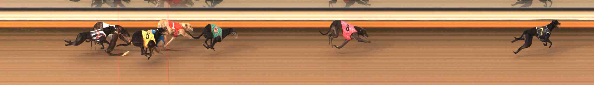 Photo finish for Warrnambool Race 12