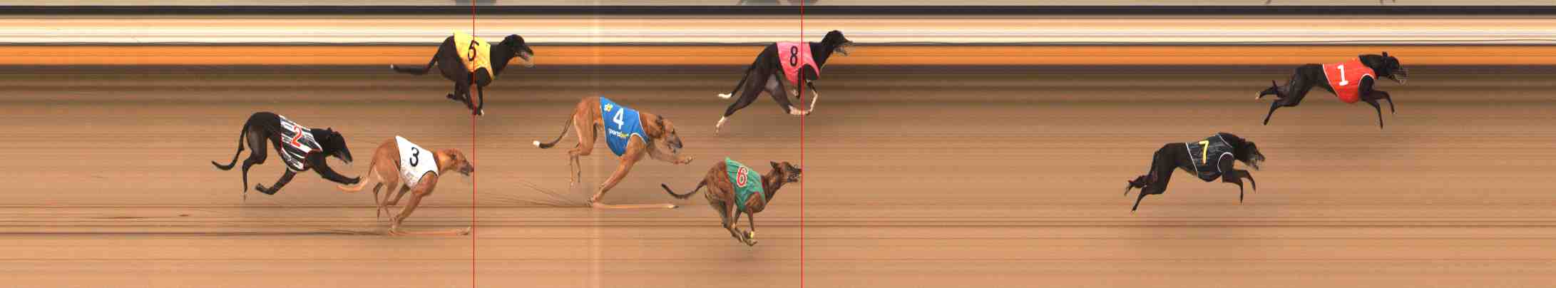Photo finish for Warrnambool Race 13