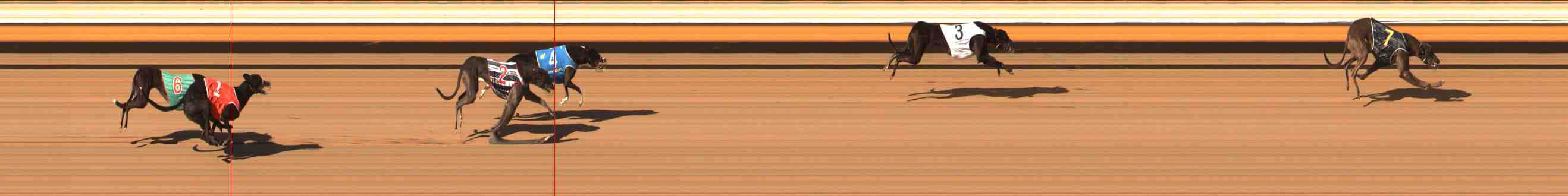 Photo finish for Warrnambool Race 2