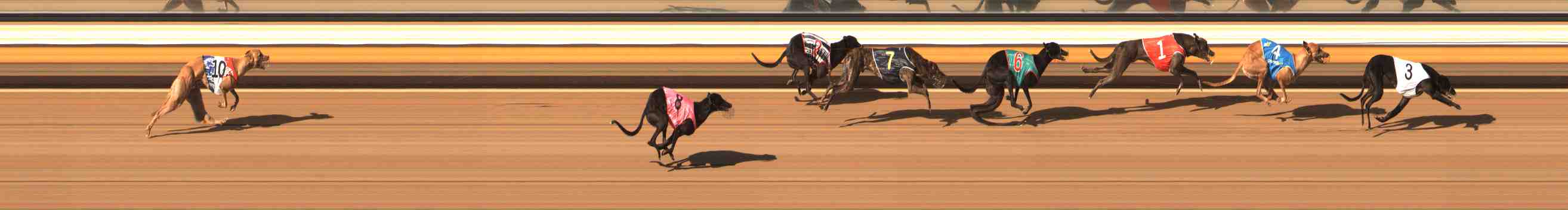 Photo finish for Warrnambool Race 3