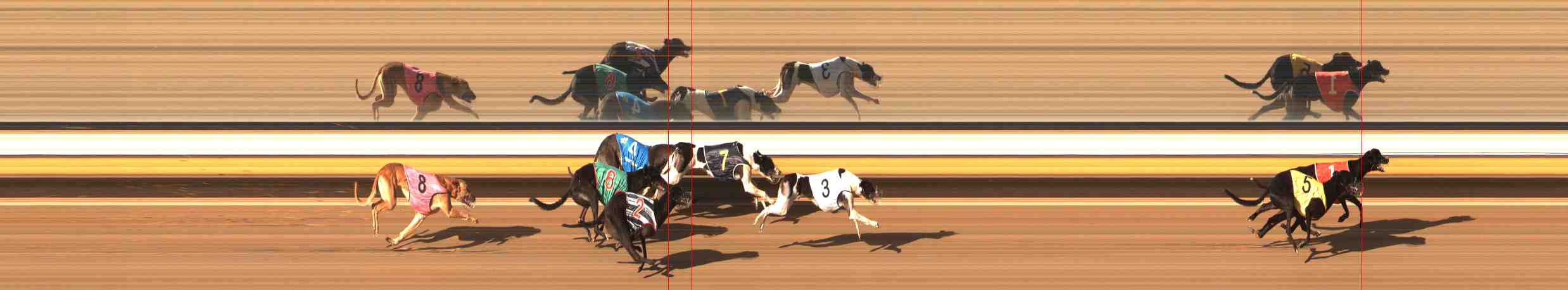 Photo finish for Warrnambool Race 4