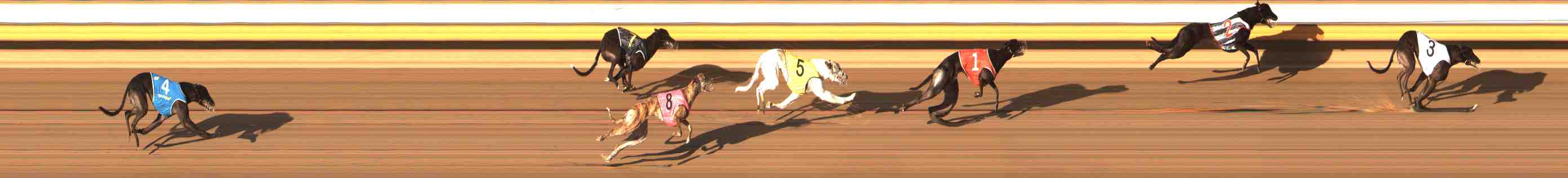Photo finish for Warrnambool Race 6