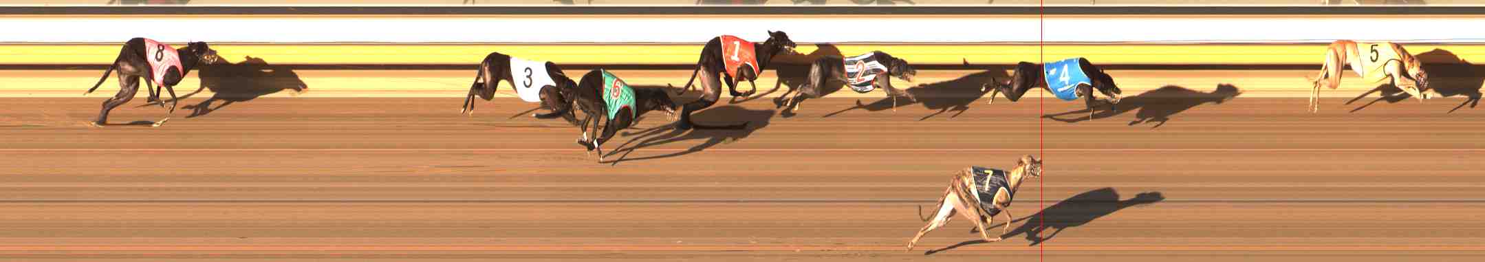 Photo finish for Warrnambool Race 7