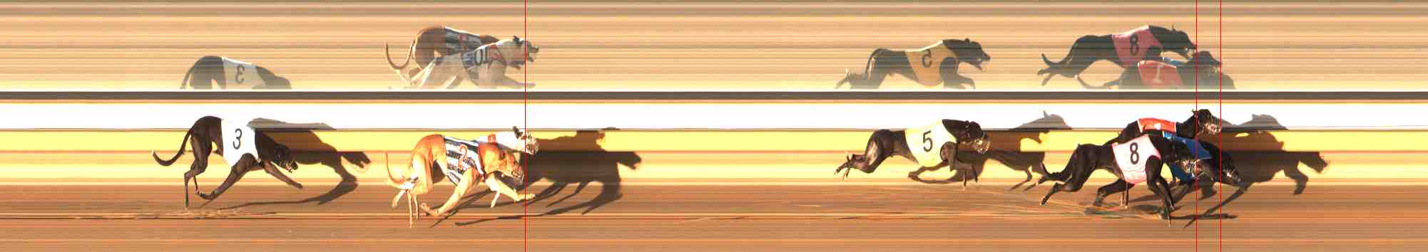 Photo finish for Warrnambool Race 8