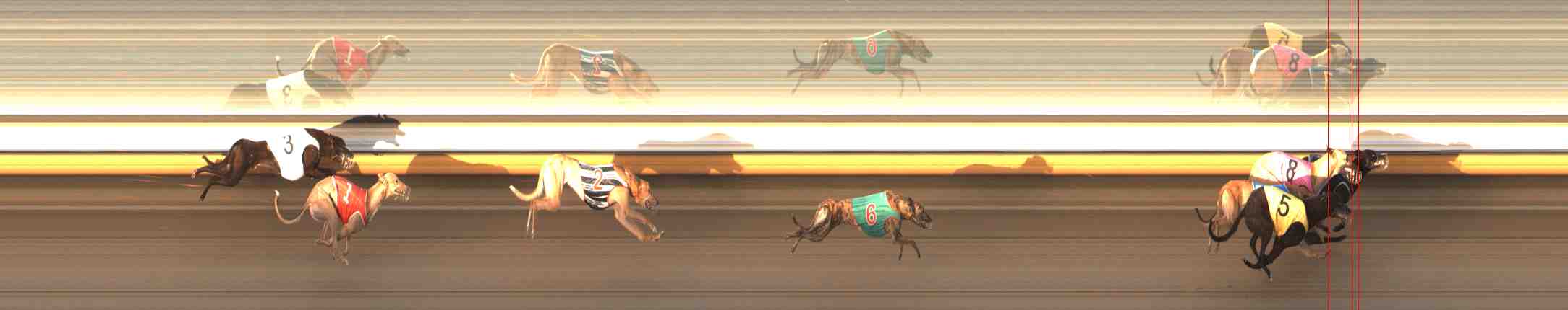 Photo finish for Warrnambool Race 9