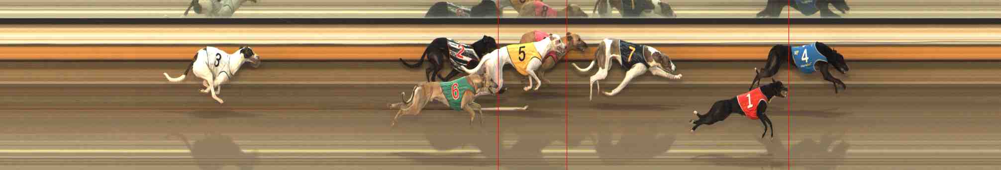 Photo finish for Warrnambool Race 10