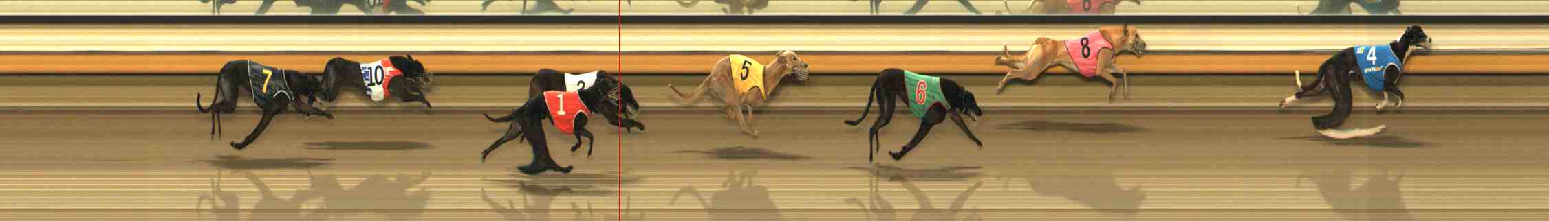 Photo finish for Warrnambool Race 11