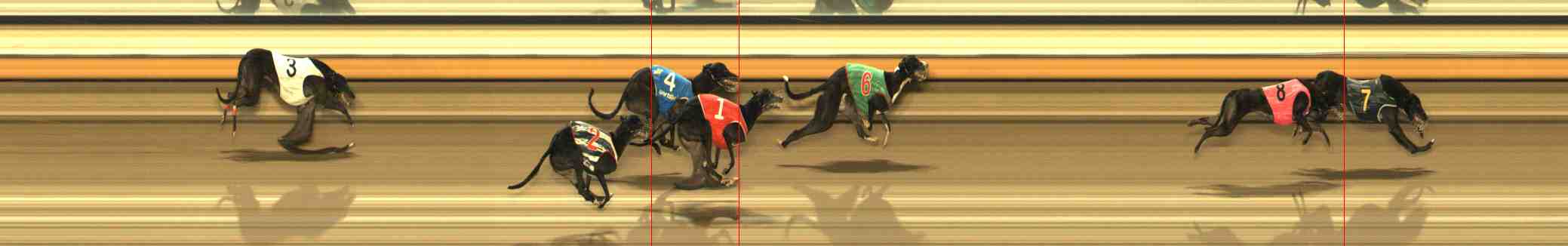 Photo finish for Warrnambool Race 12