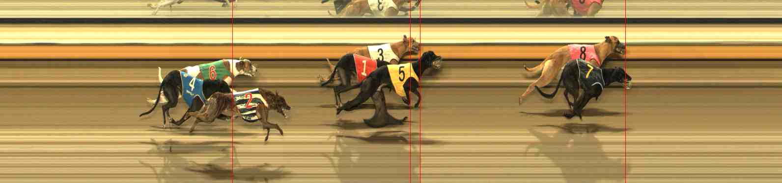 Photo finish for Warrnambool Race 13