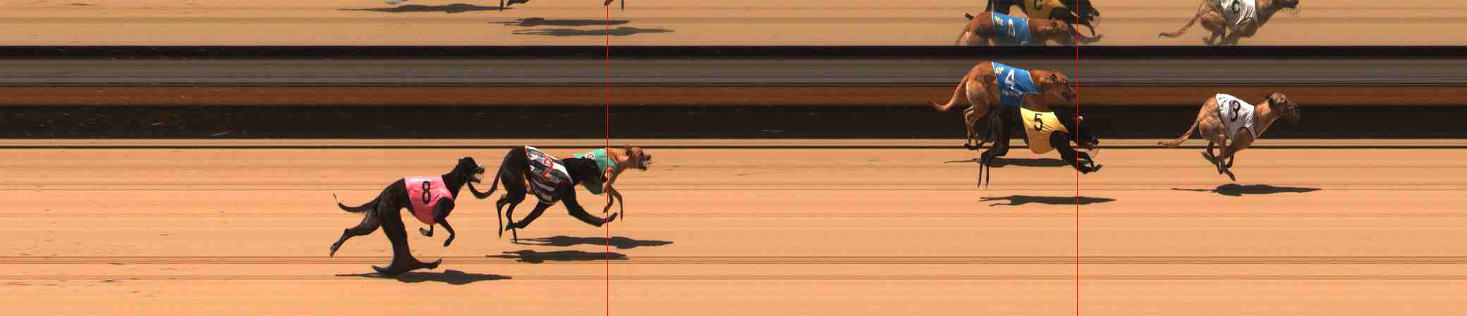 Photo finish for Warrnambool Race 2