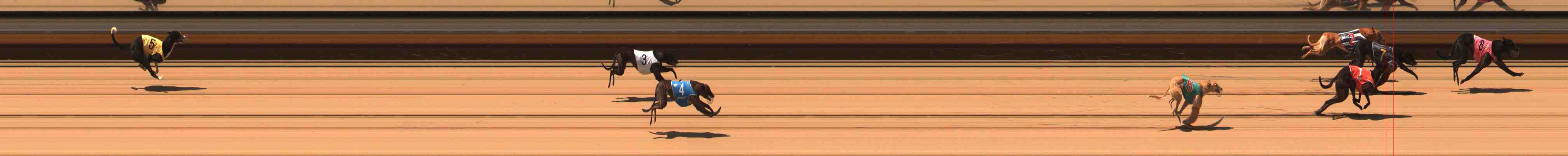 Photo finish for Warrnambool Race 3