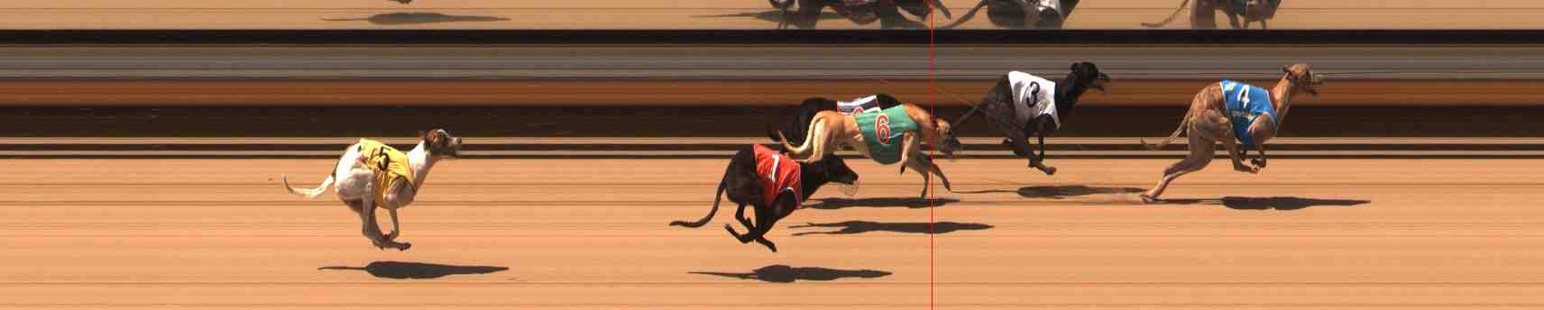 Photo finish for Warrnambool Race 4