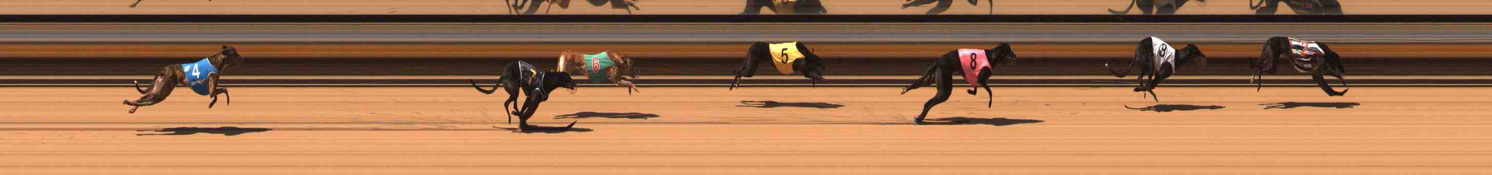 Photo finish for Warrnambool Race 5