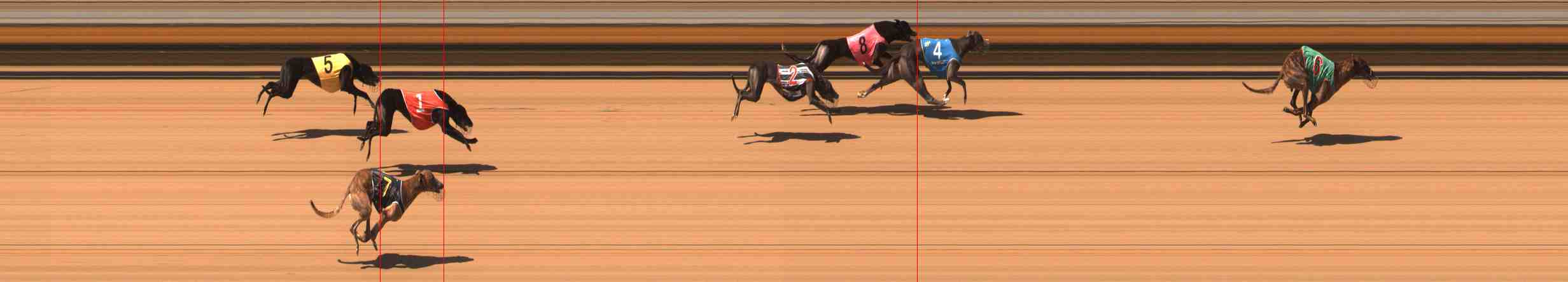 Photo finish for Warrnambool Race 6