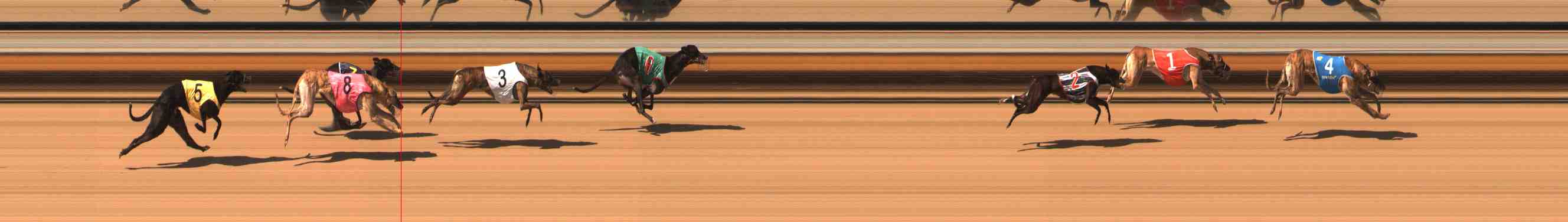 Photo finish for Warrnambool Race 7