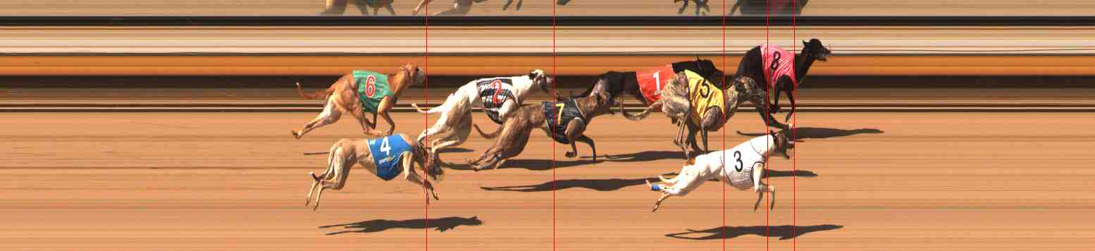 Photo finish for Warrnambool Race 8