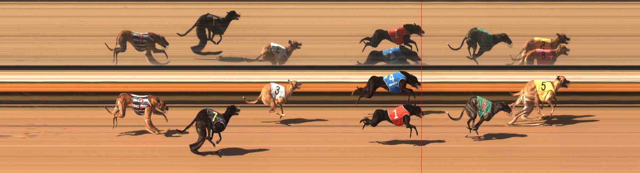 Photo finish for Warrnambool Race 9