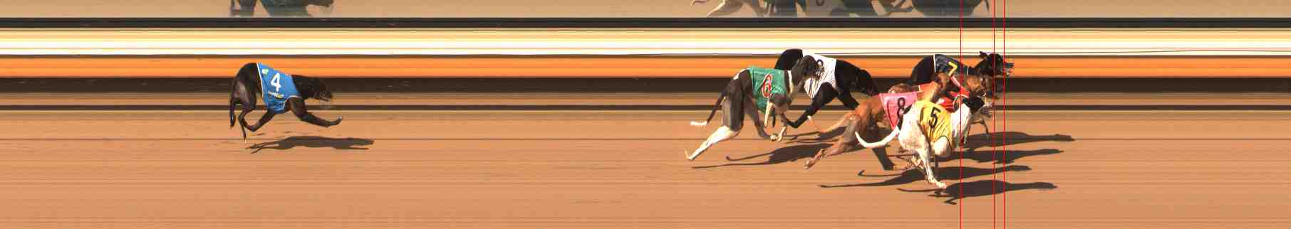 Photo finish for Warrnambool Race 10