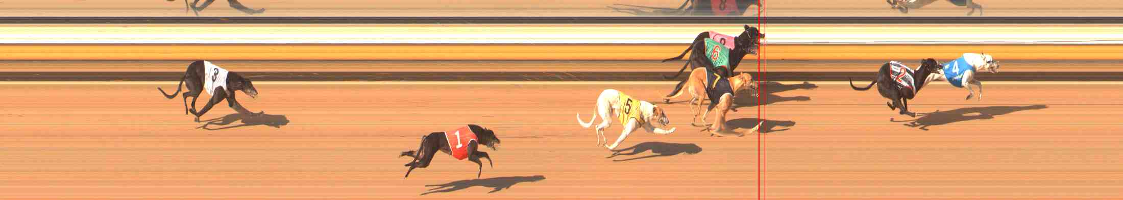 Photo finish for Warrnambool Race 11