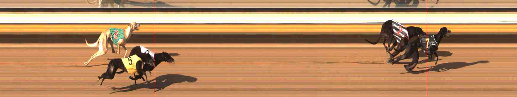 Photo finish for Warrnambool Race 12