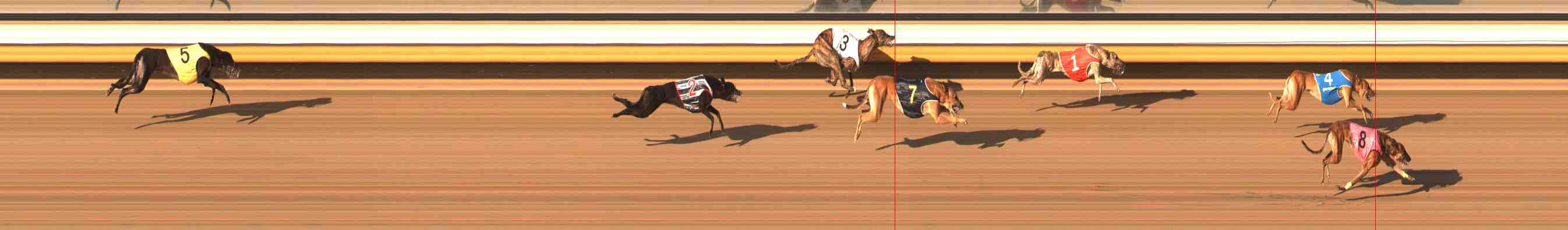 Photo finish for Warrnambool Race 13