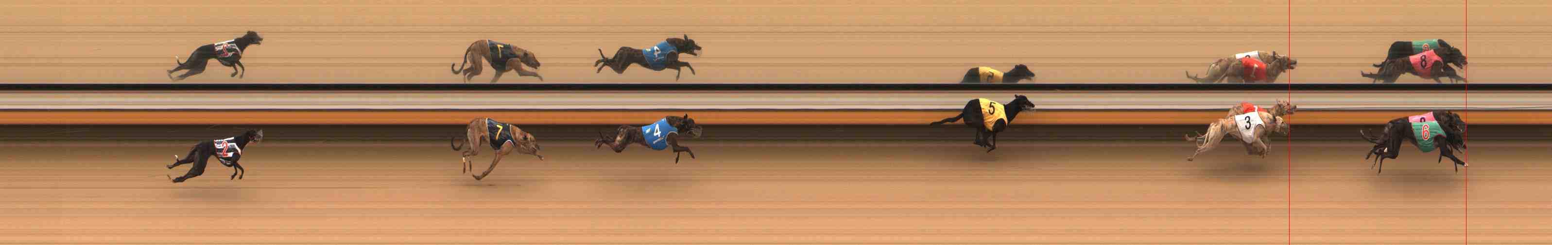Photo finish for Warrnambool Race 2