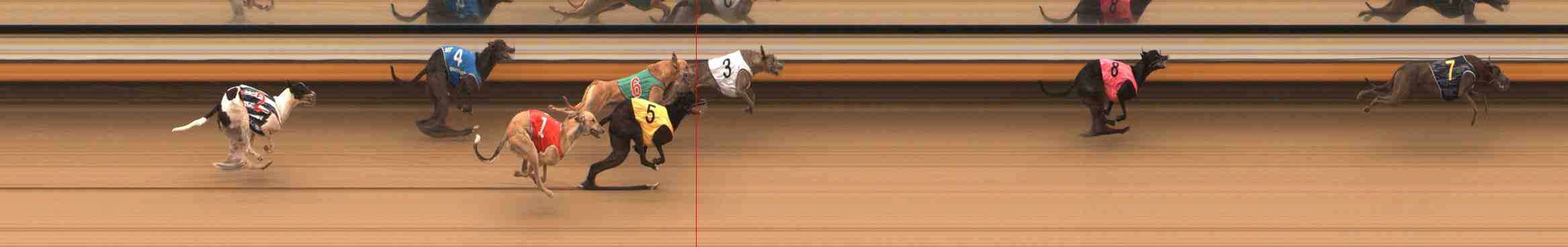 Photo finish for Warrnambool Race 3