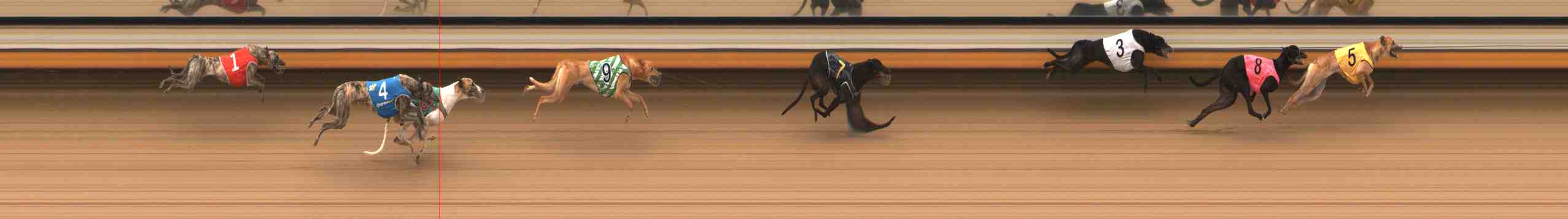 Photo finish for Warrnambool Race 4