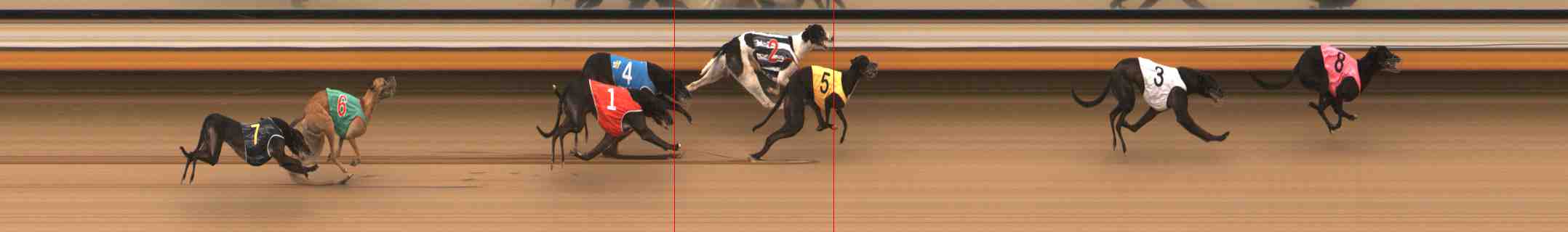Photo finish for Warrnambool Race 5