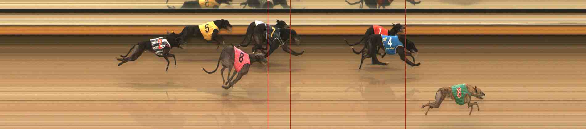 Photo finish for Warrnambool Race 7