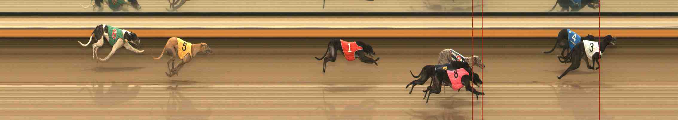 Photo finish for Warrnambool Race 8