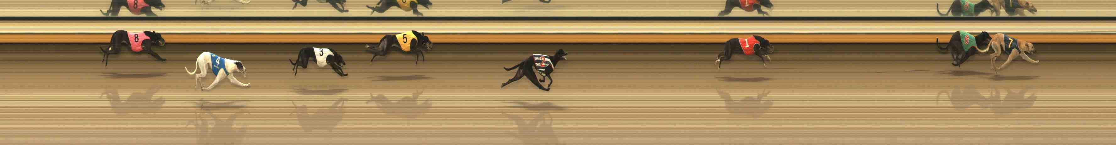 Photo finish for Warrnambool Race 9