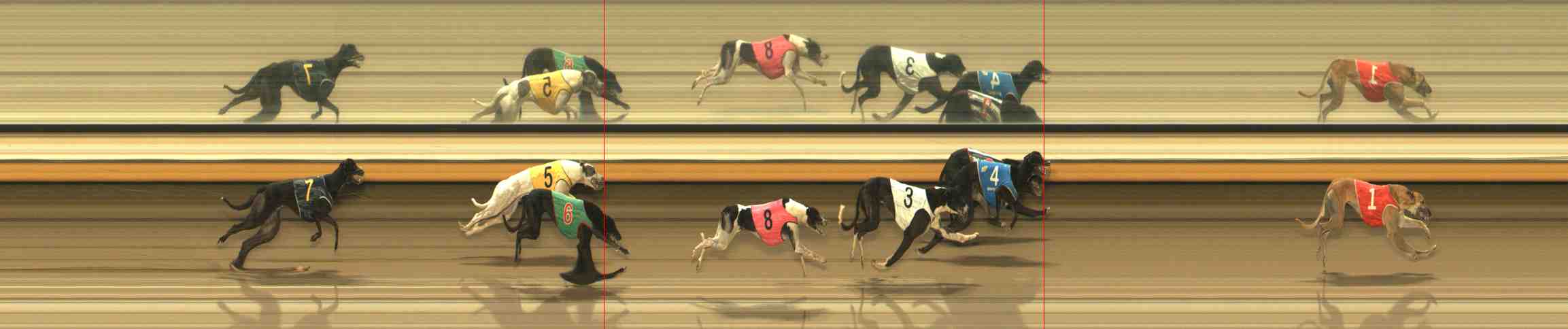 Photo finish for Warrnambool Race 10