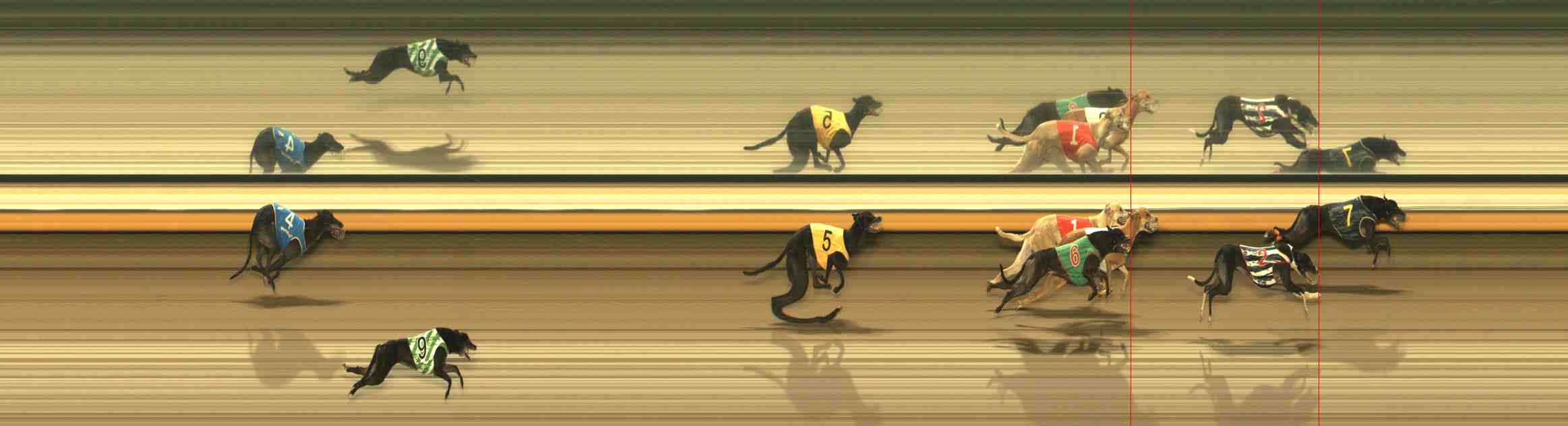 Photo finish for Warrnambool Race 11
