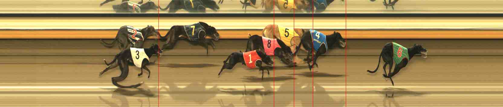 Photo finish for Warrnambool Race 12