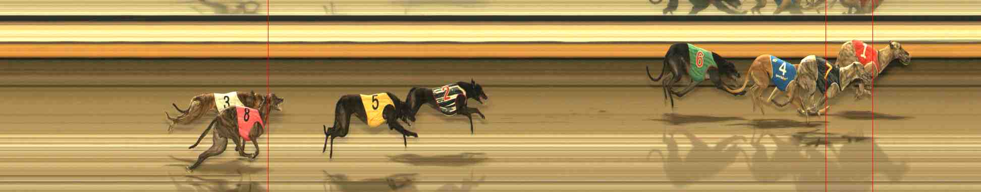 Photo finish for Warrnambool Race 13