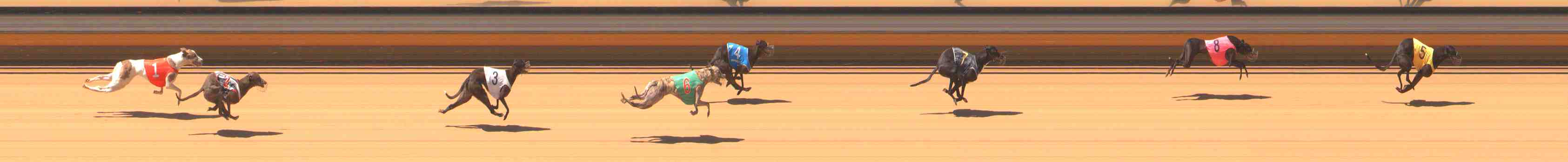 Photo finish for Warrnambool Race 1