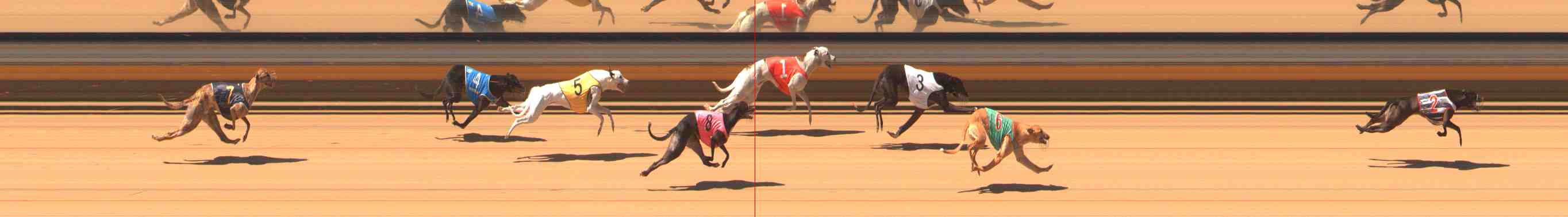 Photo finish for Warrnambool Race 2