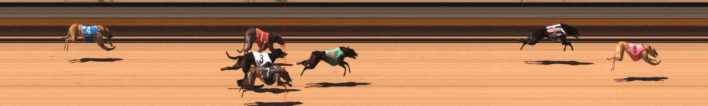 Photo finish for Warrnambool Race 3