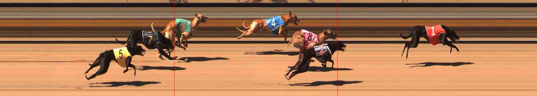 Photo finish for Warrnambool Race 4