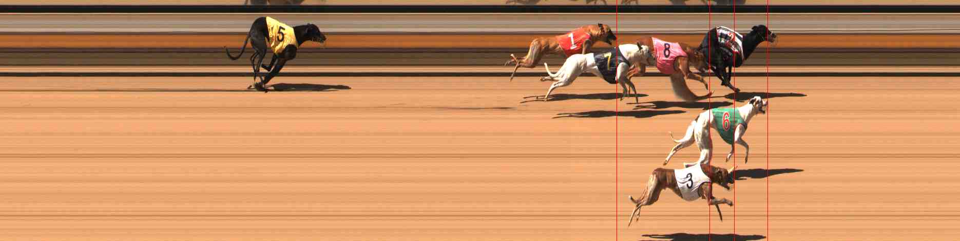 Photo finish for Warrnambool Race 5