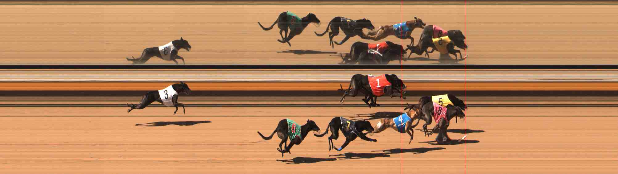 Photo finish for Warrnambool Race 6