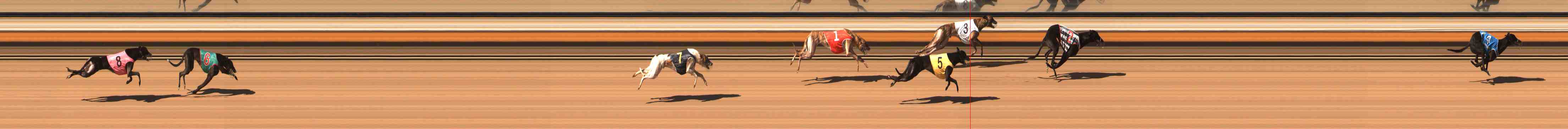 Photo finish for Warrnambool Race 7