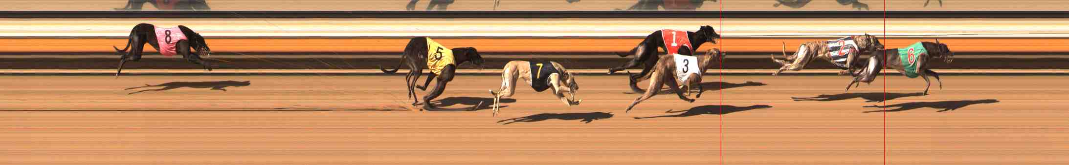 Photo finish for Warrnambool Race 8