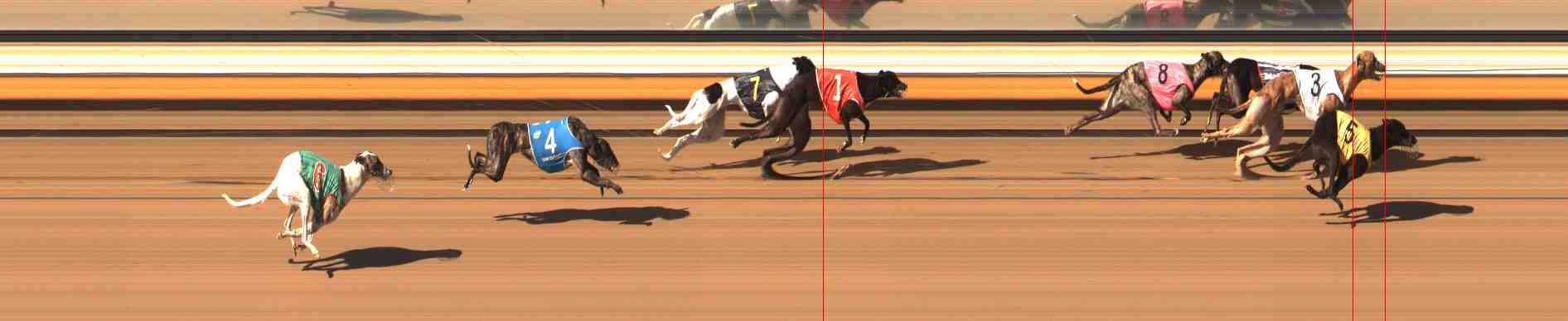 Photo finish for Warrnambool Race 9